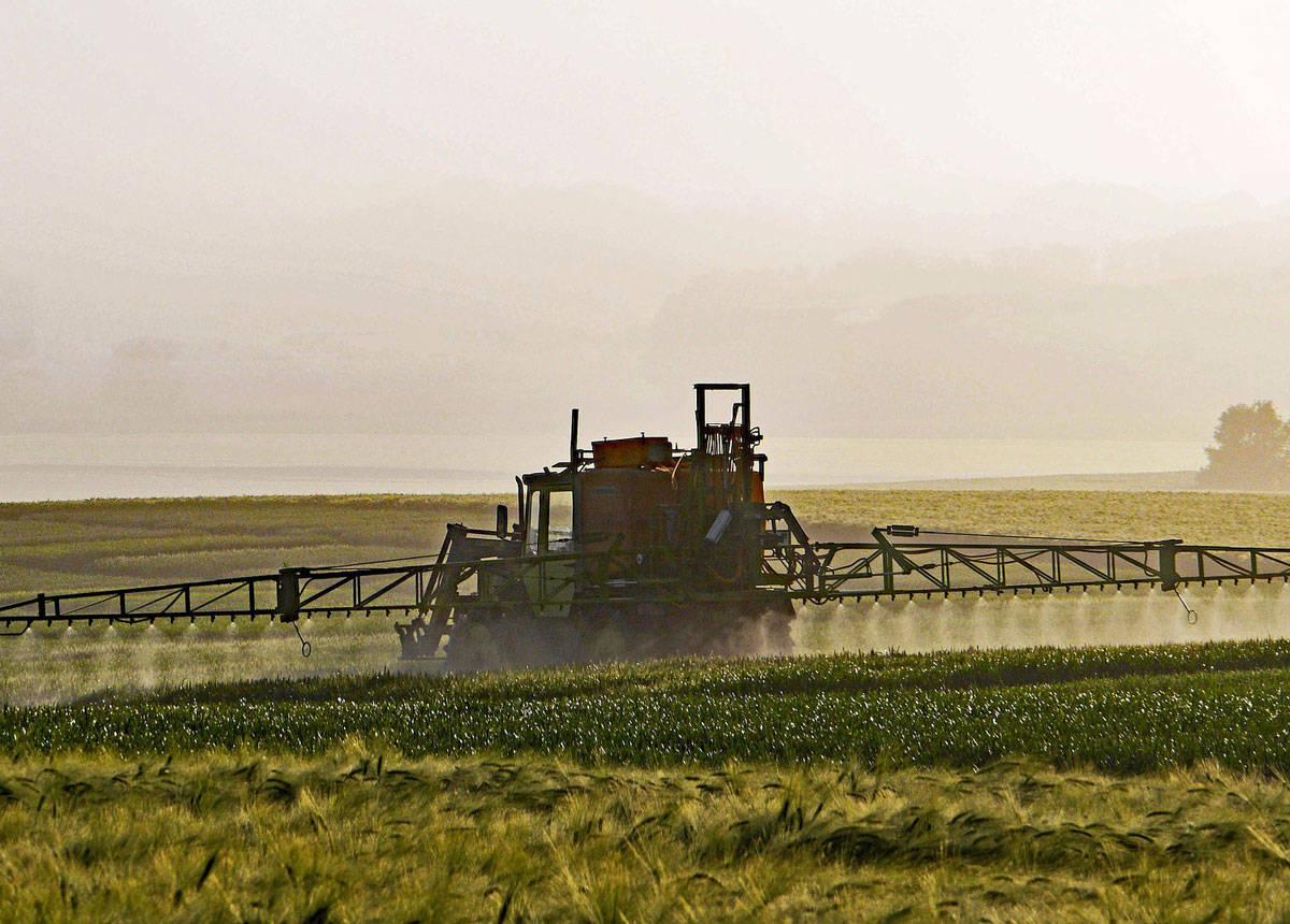 Pesticides, l’impératif économique avant le principe de précaution