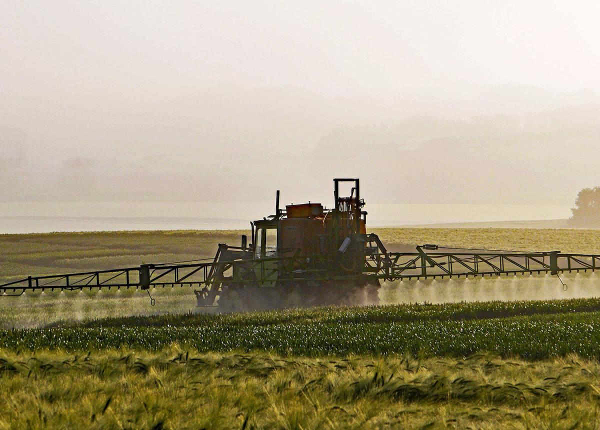 Glyphosate : la décision repoussée