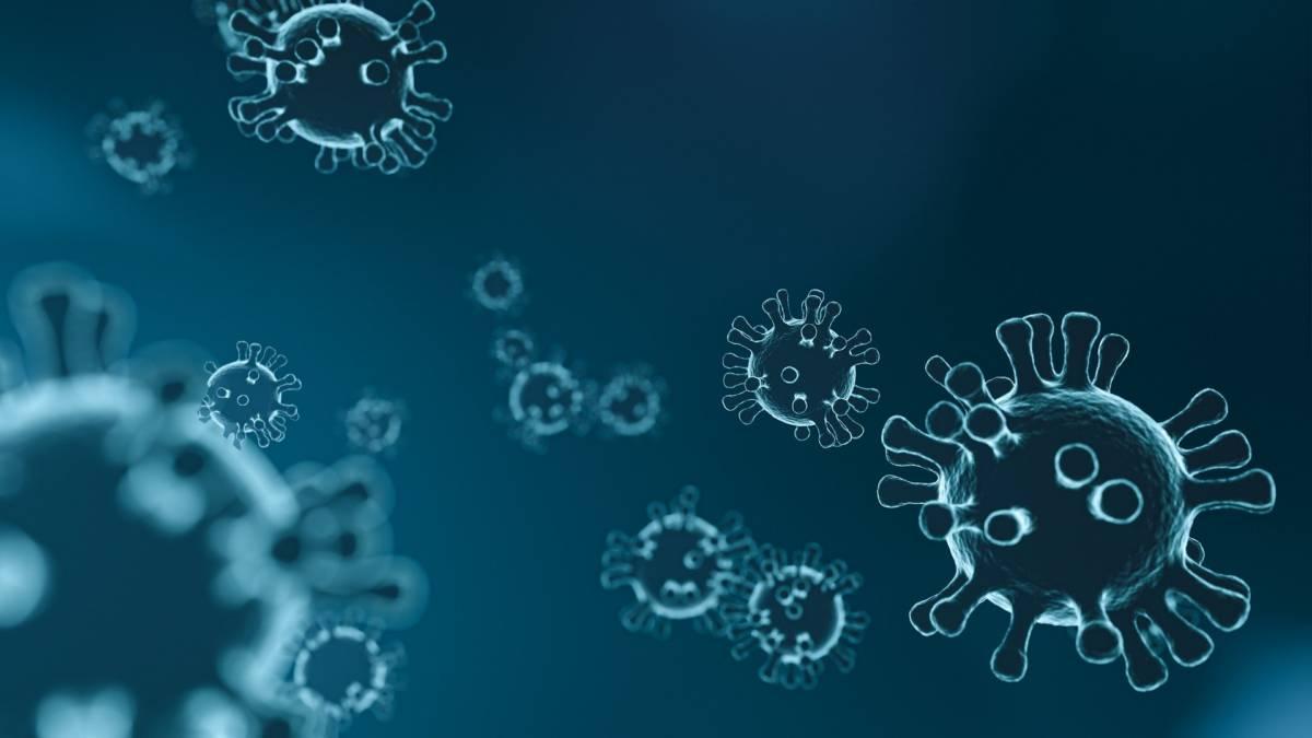 Coronavirus, l’éducation à l’arrêt