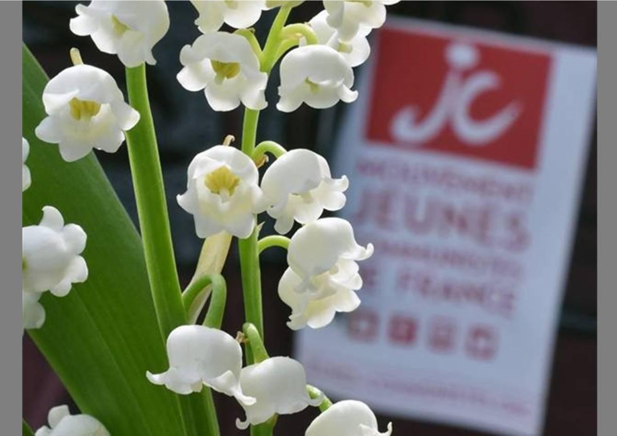 Cover Image for 1er mai : une manifestation pour l’emploi et contre la précarité