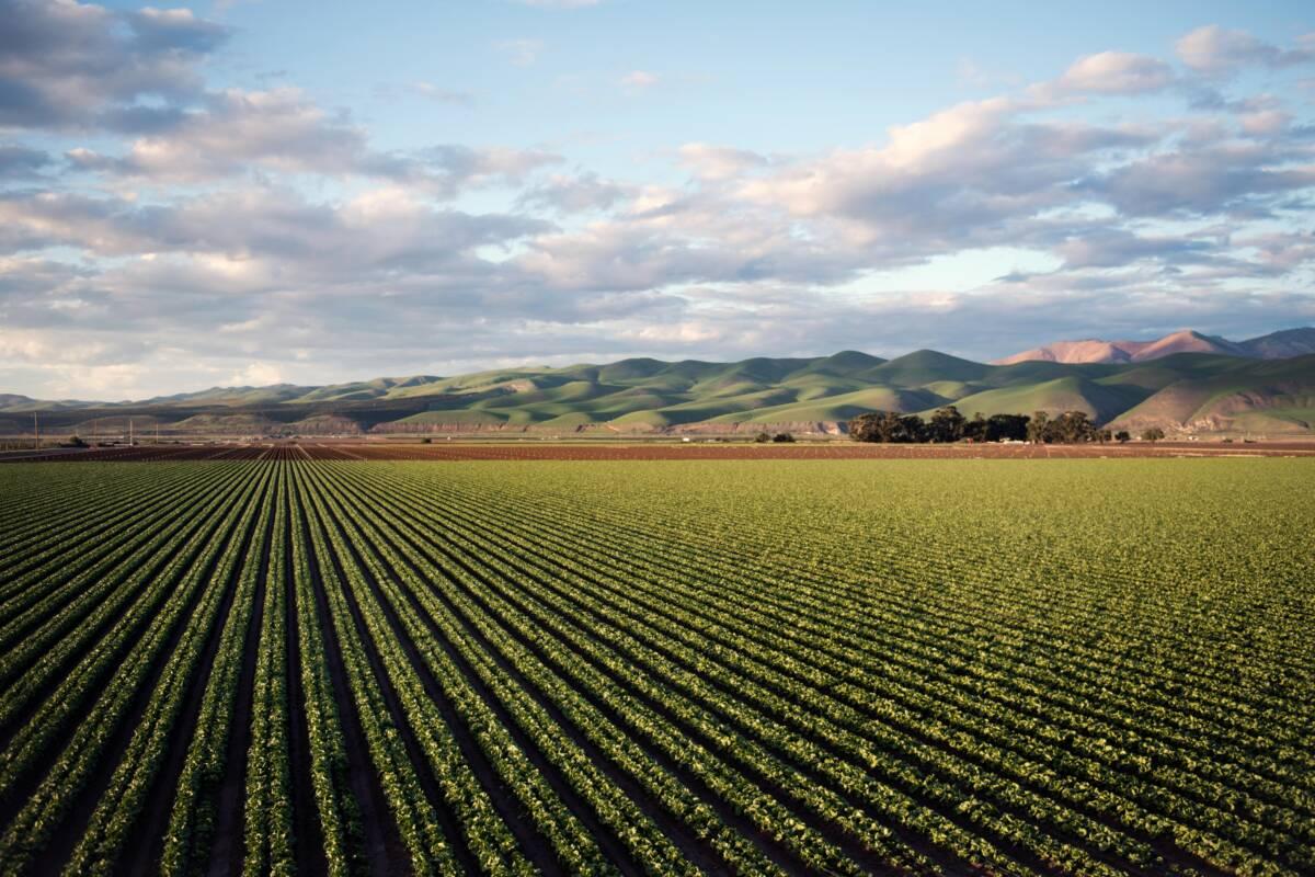 L’agroécologie, système agricole durable ?