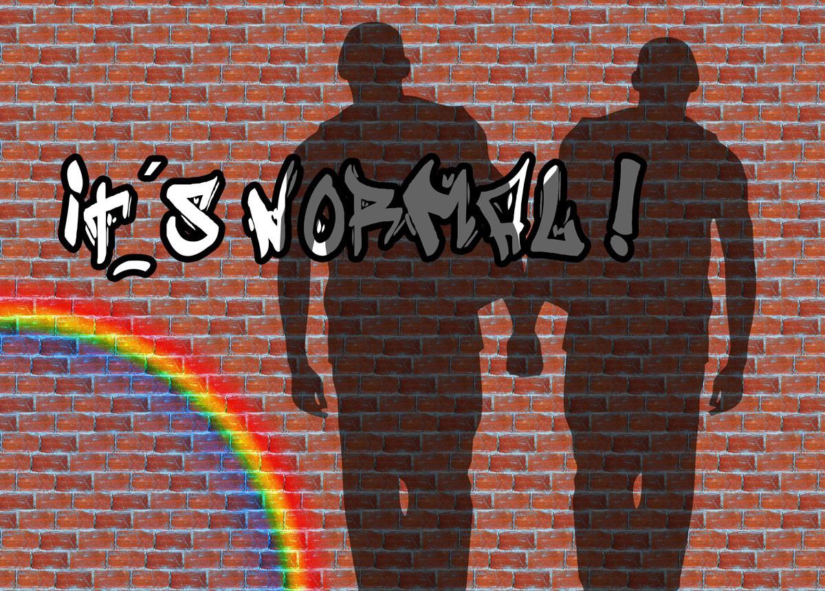 Cover Image for État des LGBTphobie